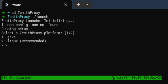ZenithProxy Setup